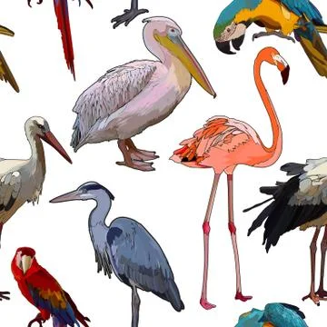 Background with tropical birds 스톡 일러스트