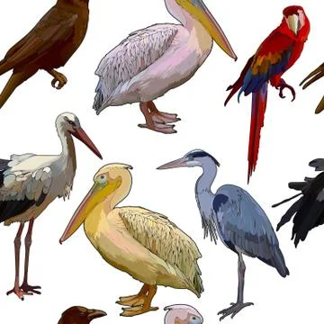 Background with tropical birds Illustrazione stock