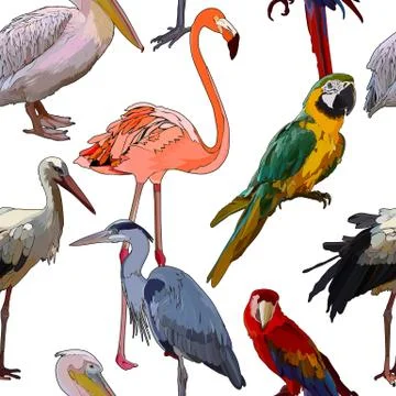 Background with tropical birds 库存插图