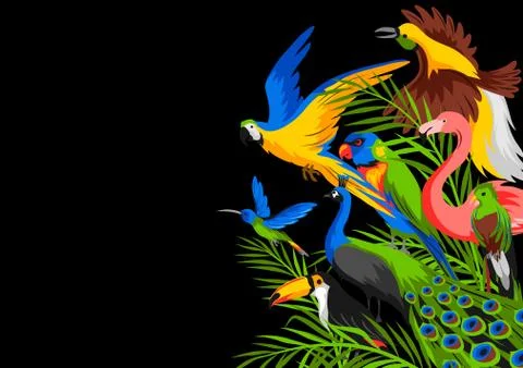 Background with tropical exotic birds. 스톡 일러스트