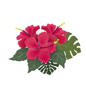 Background with tropical flowers Stock Illustration