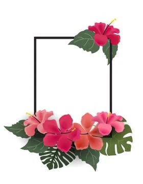 Background with tropical flowers Stock Illustration