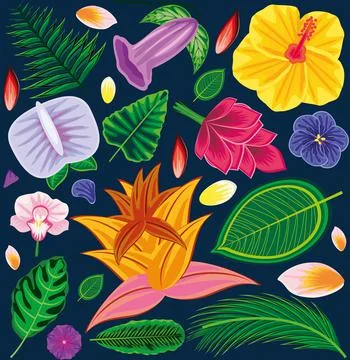 Background tropical motif Illustration