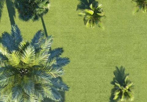 Background of tropical plants on top view Stock-Illustration