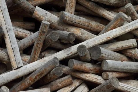 Background from trunks of trees. Stock Photos