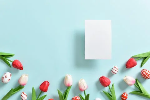 Background with tulip flowers and Easter eggs Stock Photos
