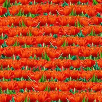 Background tulips Stock Illustration