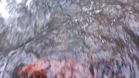 Background from turbid river water by springtime Stock Footage 114364564