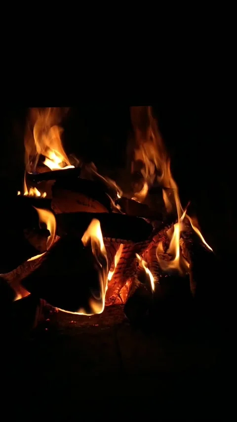 Background in TV by fire in a fireplace in a warm room Video stock 205070454