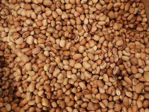 Background unsalted soy bean nuts close up Stockfoto's