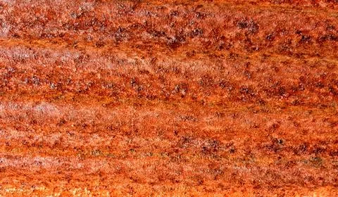 Background of urban rust texture. Stock Photos