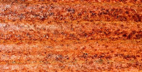 Background of urban rust texture. Stock Photos