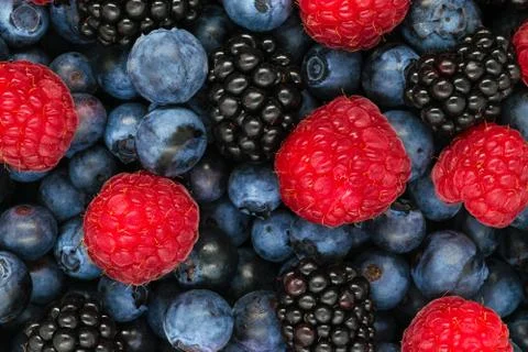 Background of various berries Stock Photos