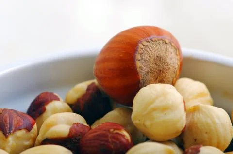 Background from various kinds of nuts Stock Photos