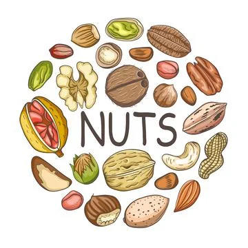 Background with various nuts. Stock Illustration