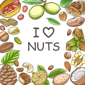 Background with various nuts. Stock Illustration