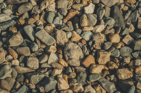 Background of various pebbles on the beach. Multi-colored stones. Stock Photos