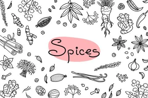 Background with various spices used in cooking and inscription for the design of Stock Illustration
