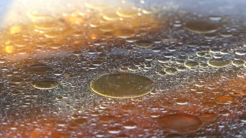 Background vegetable oil waste pollution Stock-Footage 104096968