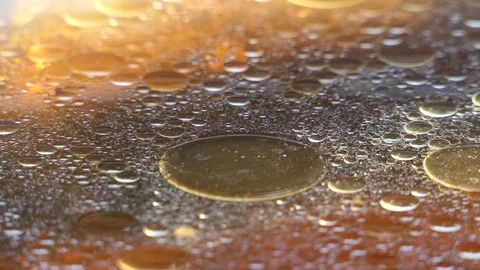Background vegetable oil waste pollution Stock Footage 104097112
