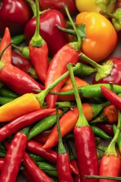 Background vegetable pattern vertical chili pepper red round and pod Foto stock