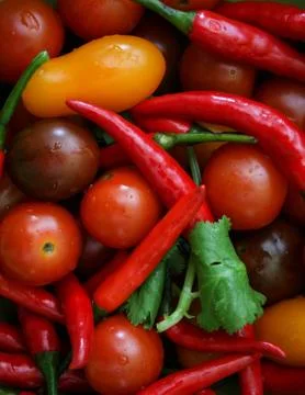 Background vegetable red tomato mini cherry and chili peppers Stock Photos