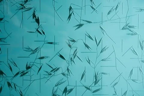 Background. Vegetal pattern in glass Stock Photos