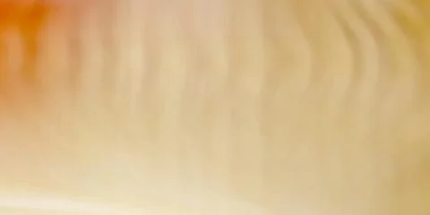 Background of vertical wavy lines of pastel abstract イラスト素材