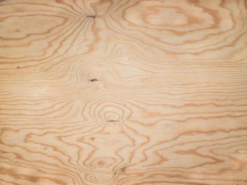 Background from a very old tree Stock Photos