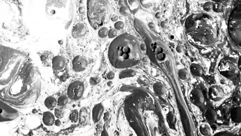 Background video of the abstract motion of a fluid flow in black and white. Stock Footage 259618832