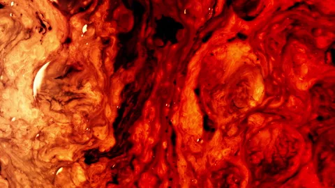 Background video abstract video mixing red and orange colors. Vídeos de archivo 263141731