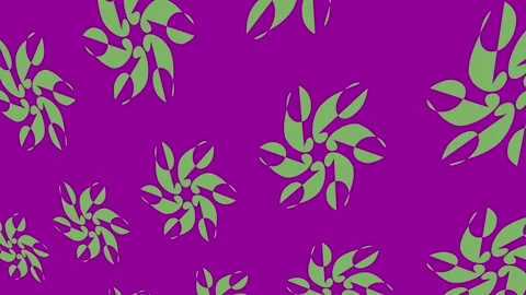 Background video footage with colors patterns and textures for video composing Stock Footage 131884867