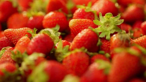 Background video with lots of freshly picked ripe strawberries. Stock Footage 276911405