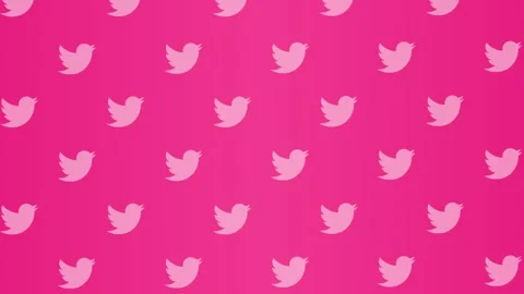 Background Video with Pink Background of Bird Icons Moving Upwards Stock Footage 300354027