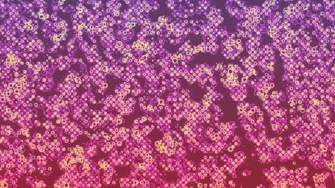 Background Video Rave Glitch Current - Visual Chaos Loop Stock Footage 298841890