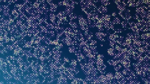 Background Video Rave Visual Decay - Glitch Energy Loop Video stock 298845104