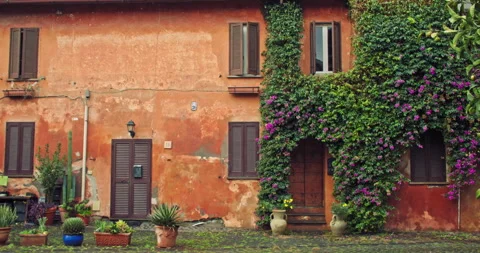Background video of a red wall of an old house with flowers growing on it. Stock Footage 265546740