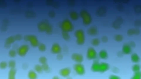 A background video, small green creatures multiplying in the water. Stock Footage 277023024