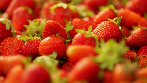 Background video of strawberry falling on berries in slow motion. Stock Footage 277999231