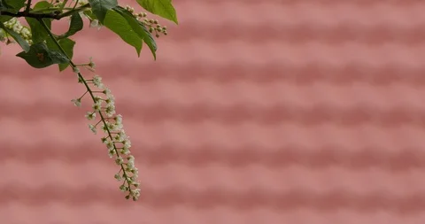 Background video for titles Video stock 108975839