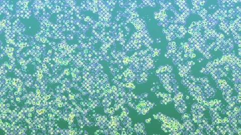 Background Video Visual Distortion Loop - Glitch Rave Fusion Video stock 298840718