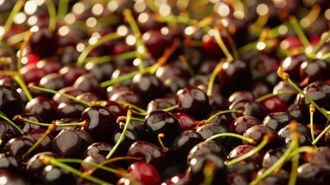 Background video on which lies a large number of beautiful cherries. Stock Footage 276906996