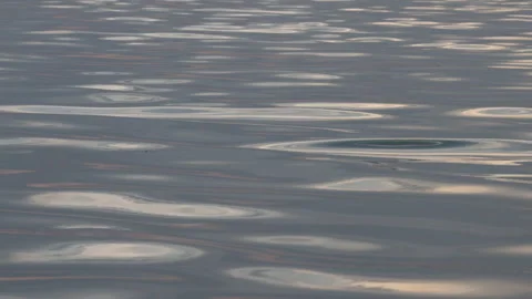  background view of summer sunset with the reflection of the sun on the river Stock Footage 280535405