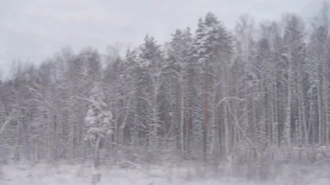 Background view from the window of a moving train with a winter forest. Pine Stock Footage 195104610