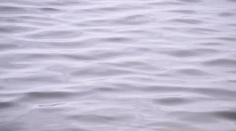 Background of violet water surface Stock Footage 51210356