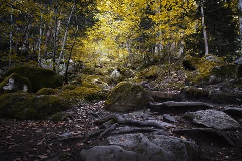 Background of a virgin trekking path in the Pyrenees mountains Foto stock