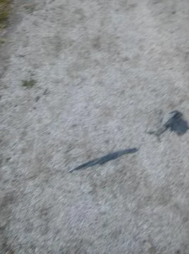 Background walking on a sidewalk with different elements in daylight Stock Photos