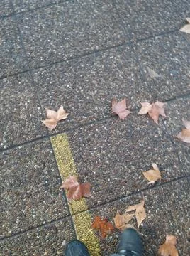 Background walking on a sidewalk with different elements in daylight Fotos Stock