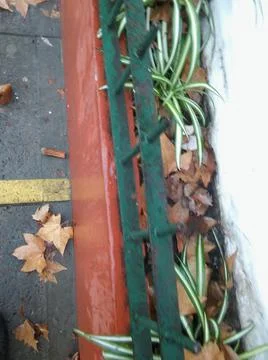 Background walking on a sidewalk with different elements in daylight Fotos Stock