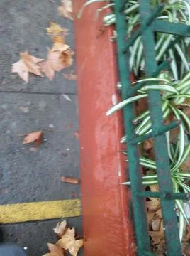 Background walking on a sidewalk with different elements in daylight Fotos Stock